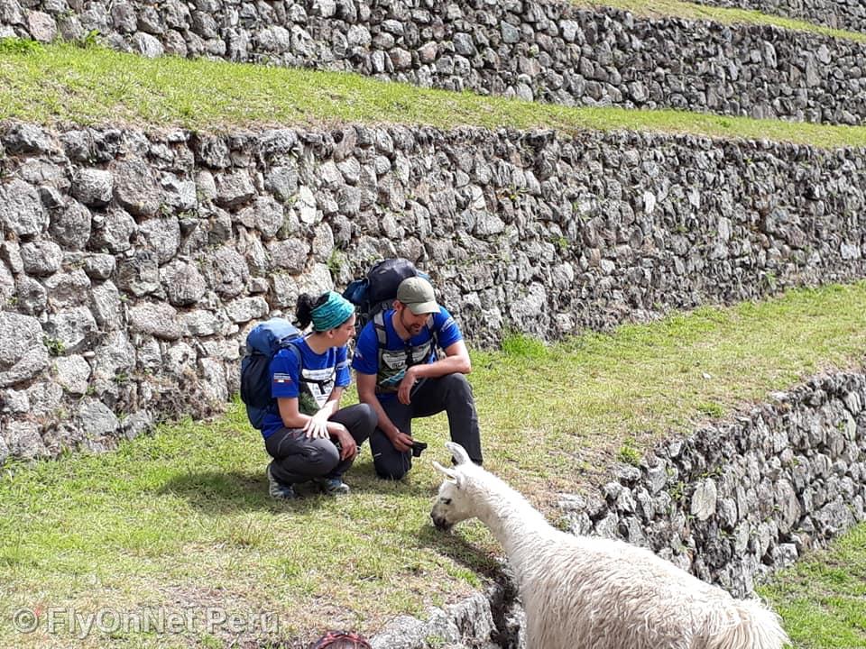 Album photos: Machu Picchu