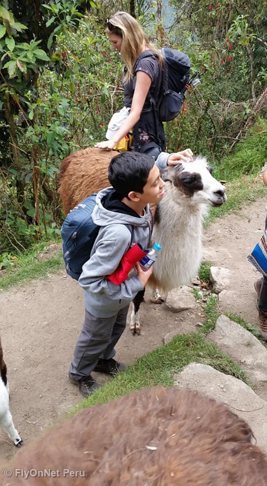Album photos: Machu Picchu