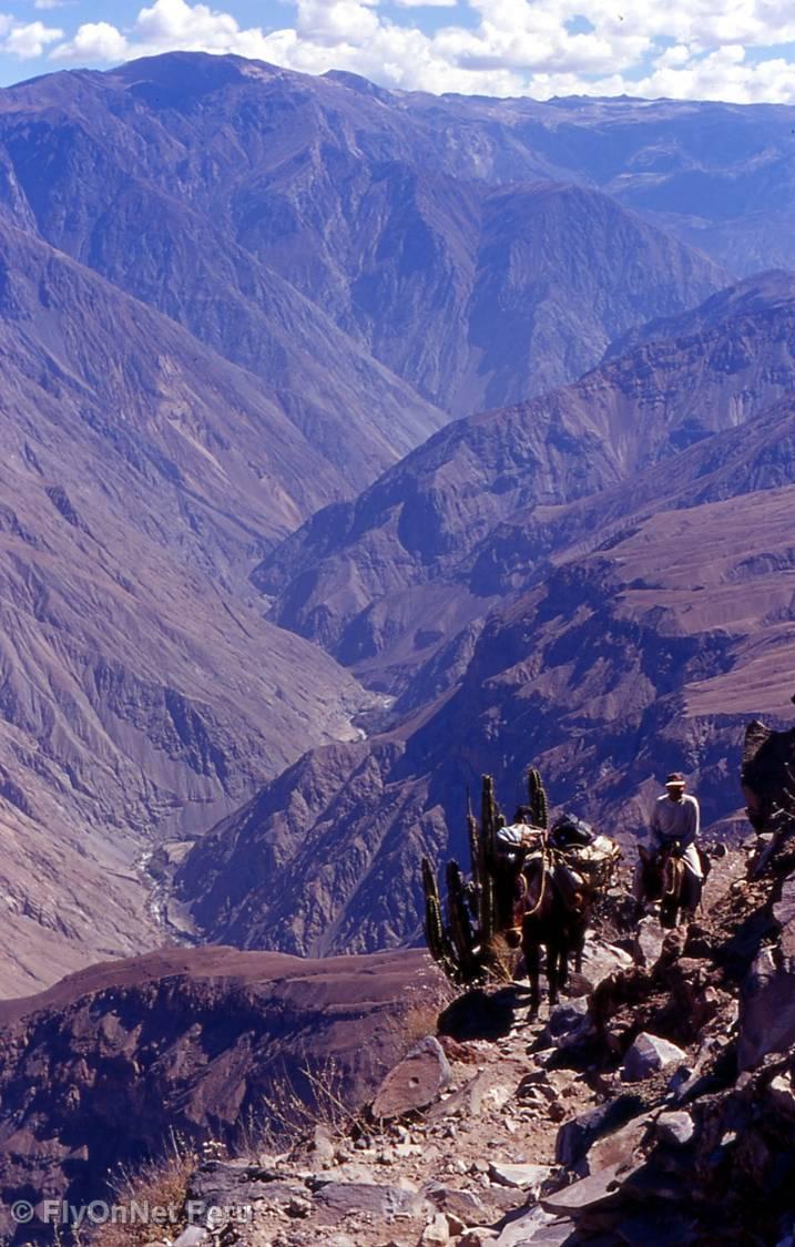 Album photos: Chemin Inca