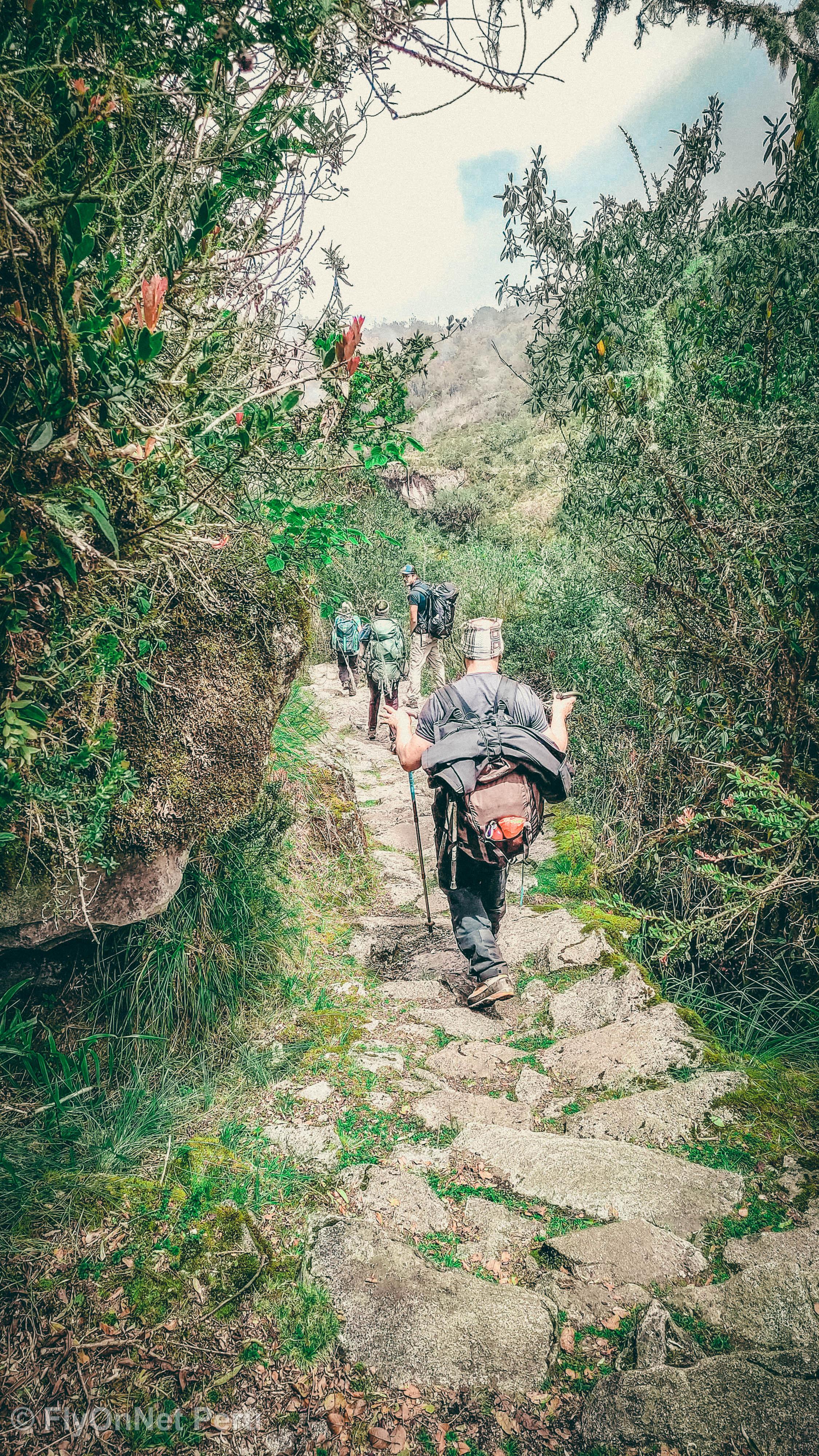 Album photos: Chemin Inca