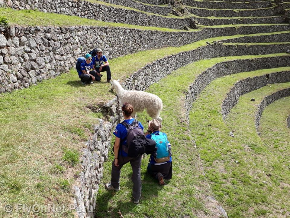 Album photos: Machu Picchu