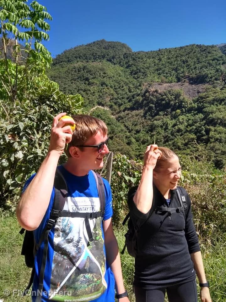 Album photos: Chemin Inca