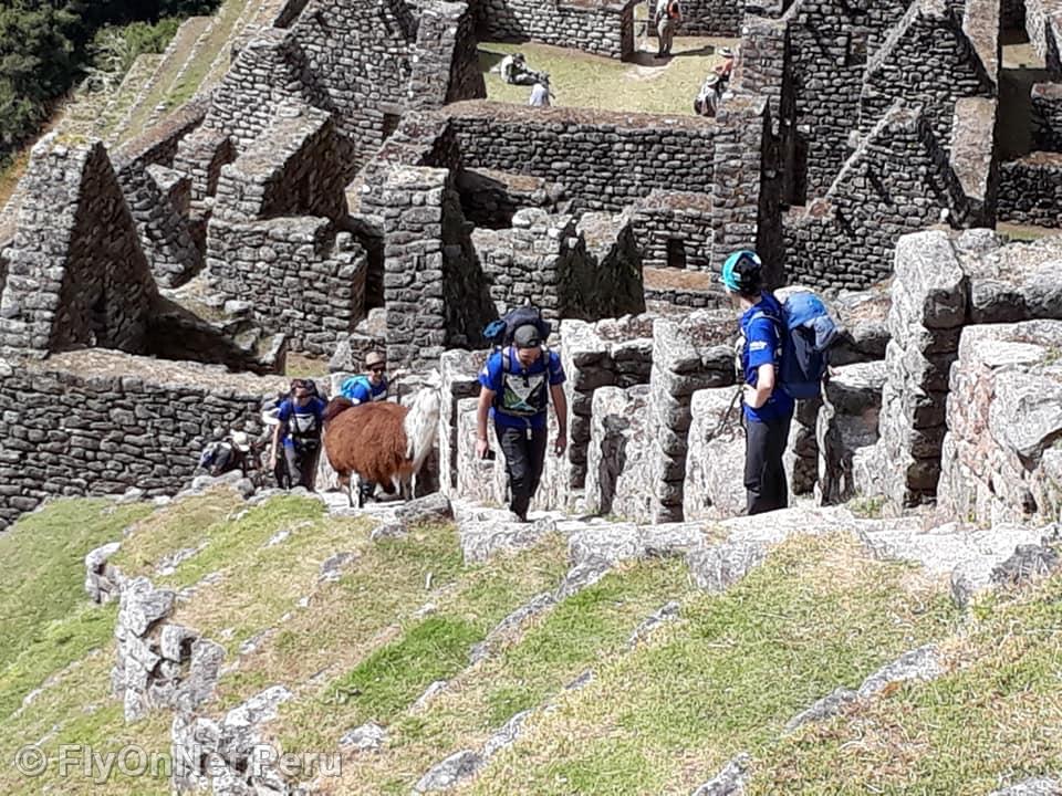 Album photos: Machu Picchu