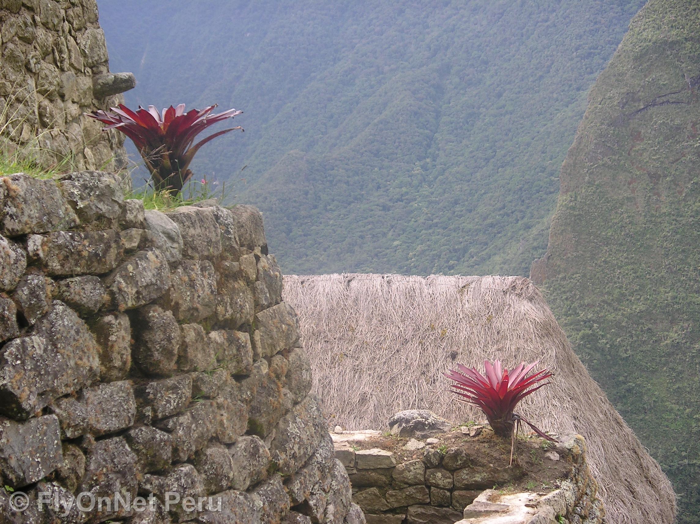 Album photos: Machu Picchu