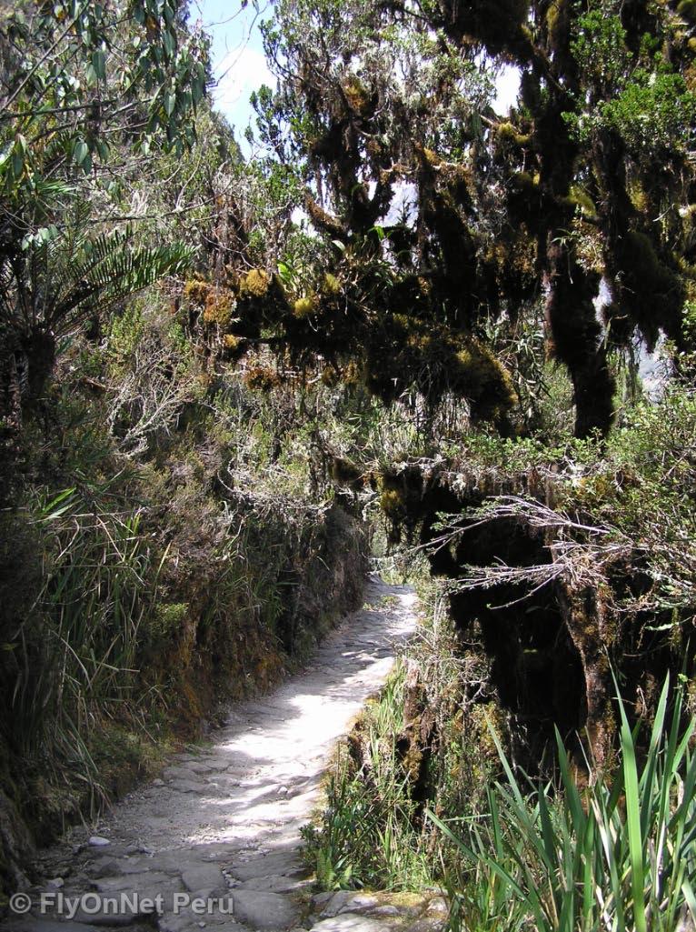 Album photos: Chemin Inca