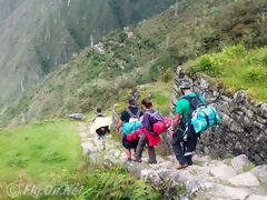 Chemin Inca