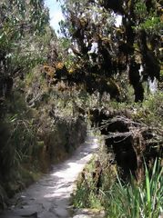 Chemin Inca